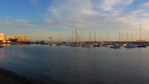 Boats moored in sea