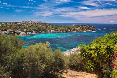 High angle view of sea and trees against sky