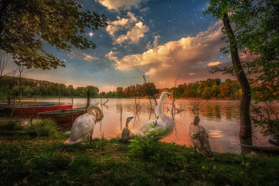 View of dog by lake against sky