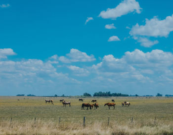 Horses grazing on field against sky