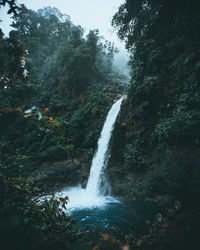 Scenic view of waterfall falling from mountain in forest