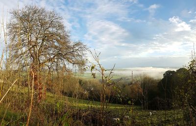 Scenic view of landscape against sky