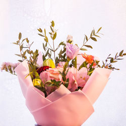 Close-up of hand holding flowering plant against white background