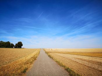 Sunny field