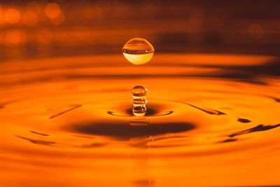 Close-up of water drop