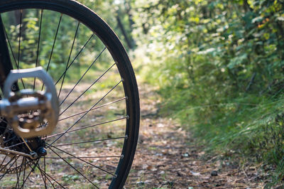 Bike in the autumn forest. part of the bike on the forest road.