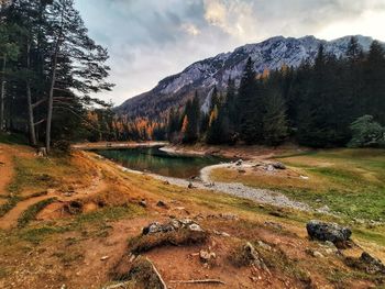 Scenic view of green lake grüner see by trees against sky and mountain 