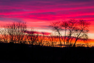 Silhouette plants against dramatic sky during sunset