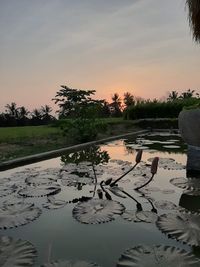 Scenic view of lake against sky during sunset