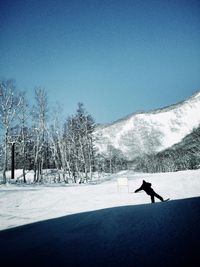 Bare trees on snow covered landscape