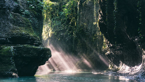 View of waterfall in forest