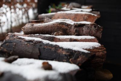 Close-up of logs on snow covered log