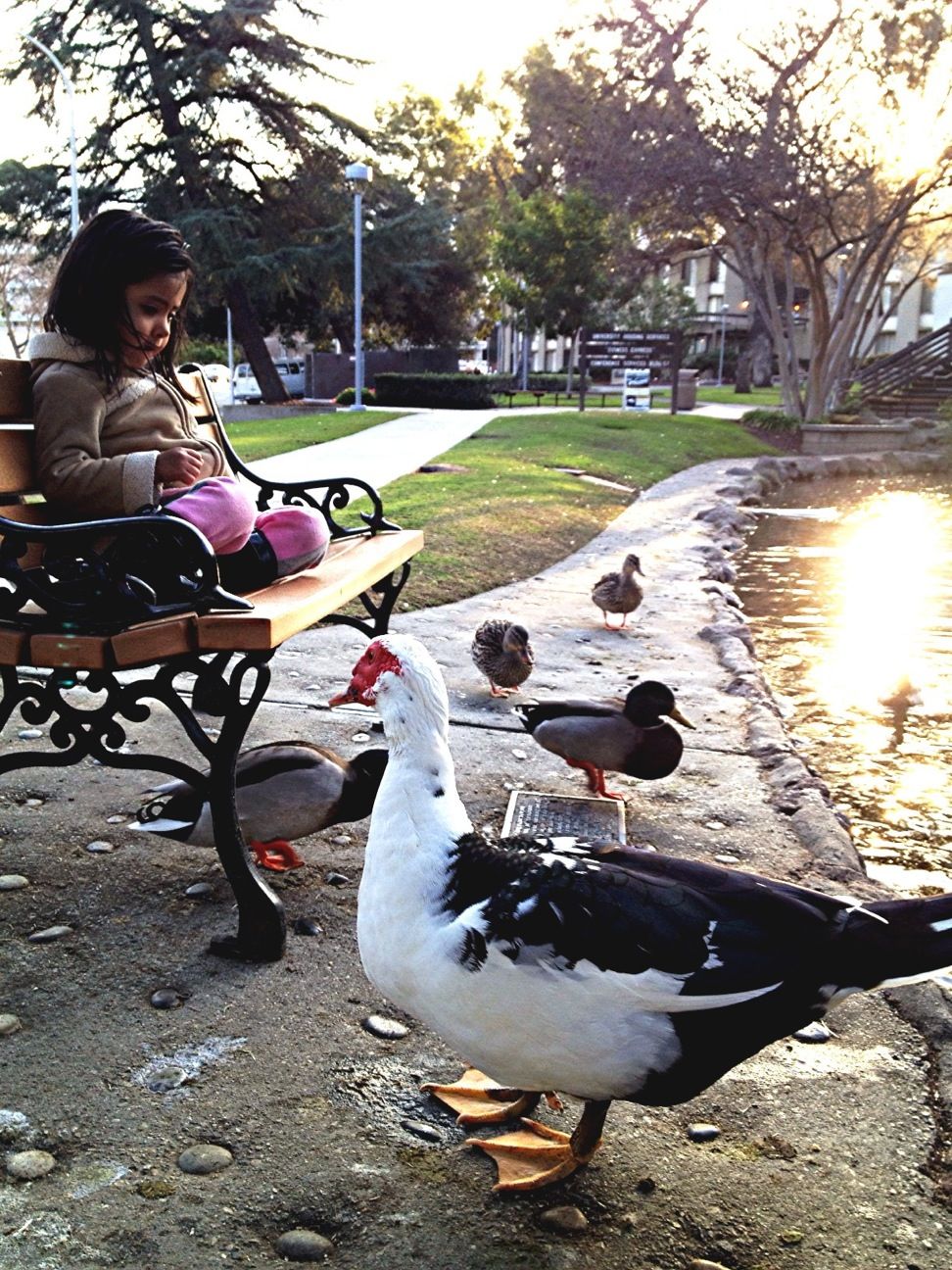 Cal Poly Pomona Building 17