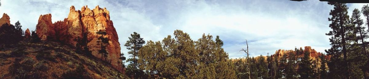 Low angle view of trees against cloudy sky