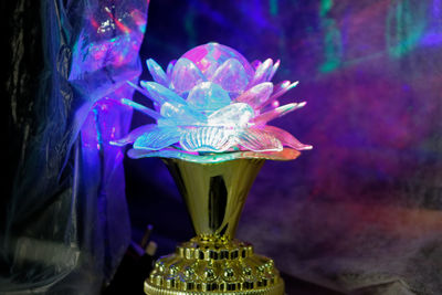 Close-up of illuminated purple flower in glass vase