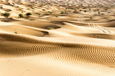 High angle view of sand dune