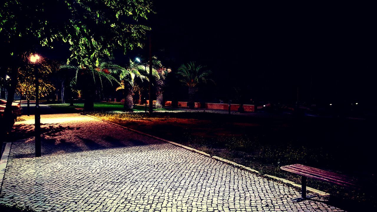 night, tree, illuminated, footpath, park - man made space, street light, the way forward, lighting equipment, walkway, outdoors, pathway, street, cobblestone, sidewalk, empty, growth, nature, tranquility, incidental people, built structure