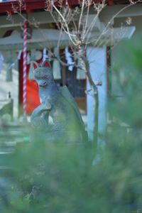 Stone statue outside temple