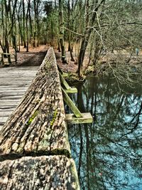 Footbridge over river