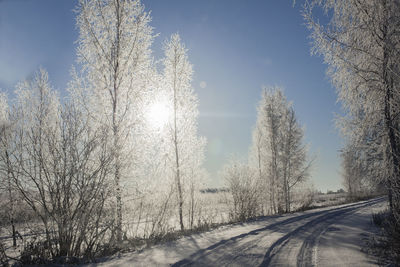 Road amidst bare trees against sky during winter