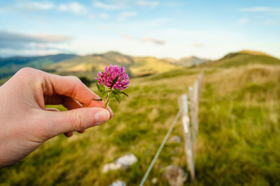 Cropped image of hand holding flower on landscape