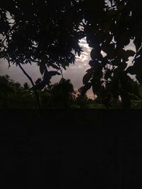 Silhouette trees on field against sky
