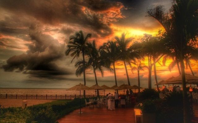 palm tree, sky, sea, sunset, water, tree, tranquility, scenics, beauty in nature, cloud - sky, tranquil scene, horizon over water, nature, beach, idyllic, silhouette, cloudy, railing, pier, growth