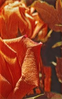 Full frame shot of red fabric