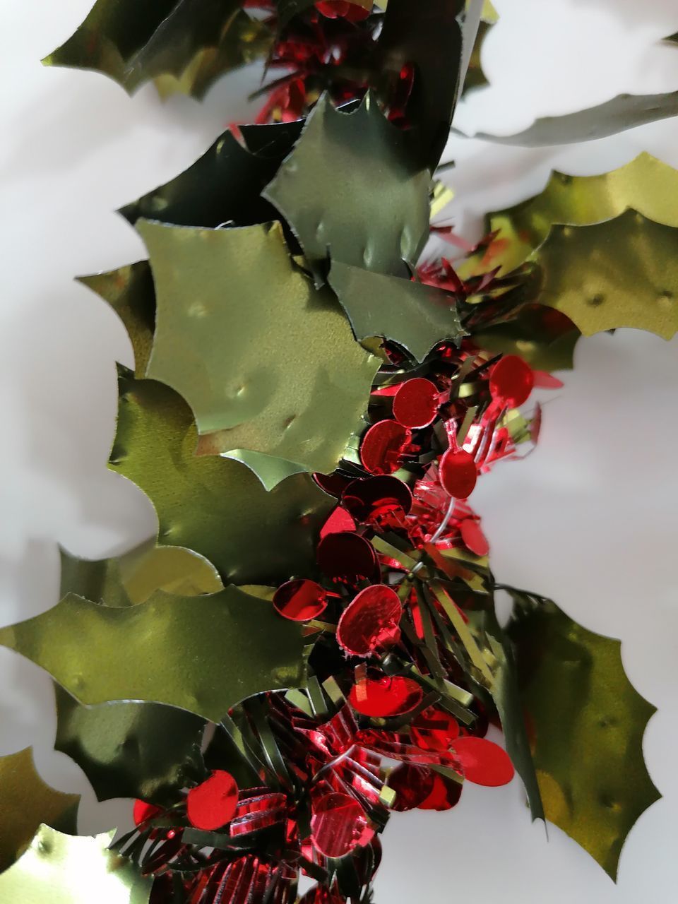 CLOSE-UP OF RED FLOWERING PLANT AGAINST WHITE BACKGROUND