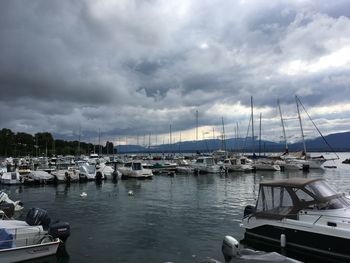 Boats in harbor