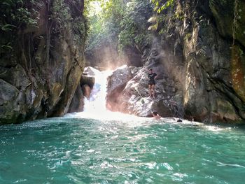 Scenic view of waterfall in forest