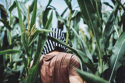 Close-up of man standing amidst plants