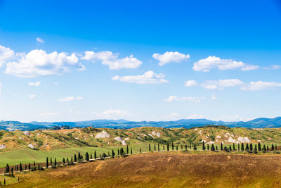 Scenic view of farm against sky