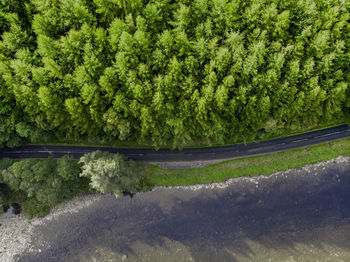 High angle view of road amidst trees in forest