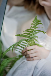 Close-up of hand holding plant leaves