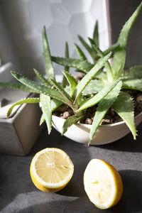 Close-up of fruits on table