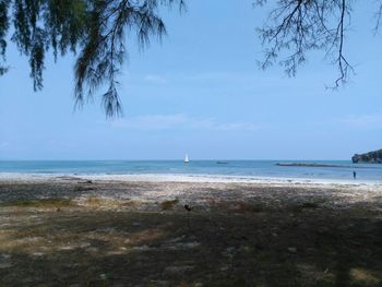 Scenic view of beach against clear sky