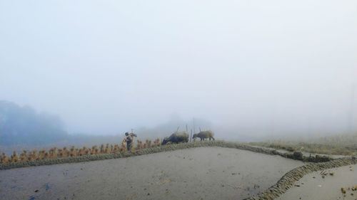 Scenic view of landscape against sky during winter