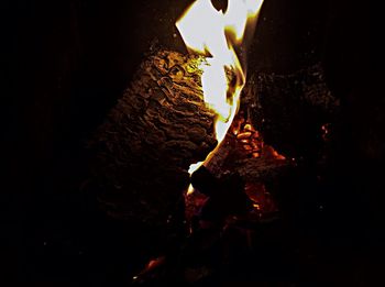 Close-up of bonfire at night