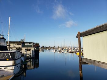 Sailboats moored at harbor against blue sky