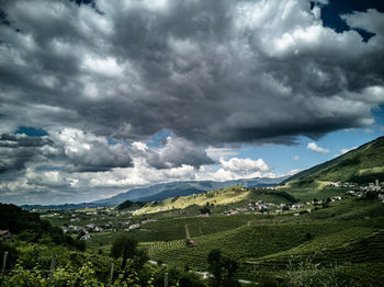 Scenic view of agricultural field against sky