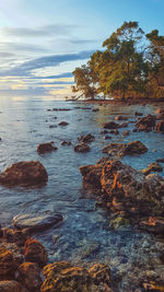 Scenic view of sea against sky
