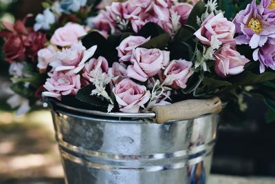 Close-up of pink flower pot