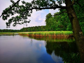 Scenic view of lake against sky