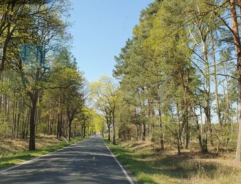 Road amidst trees against clear sky during autumn