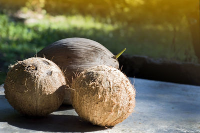 Close-up of bread on table