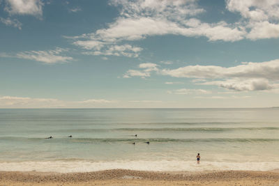 Empty beach in morbihan in summer