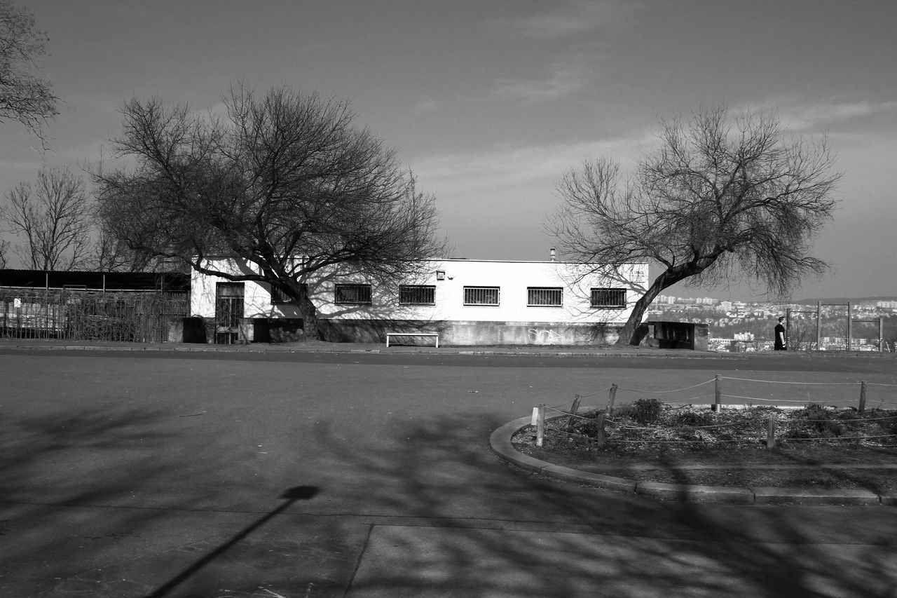 ROAD BY BARE TREES AGAINST BUILDINGS