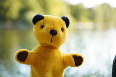 Close-up of stuffed toy