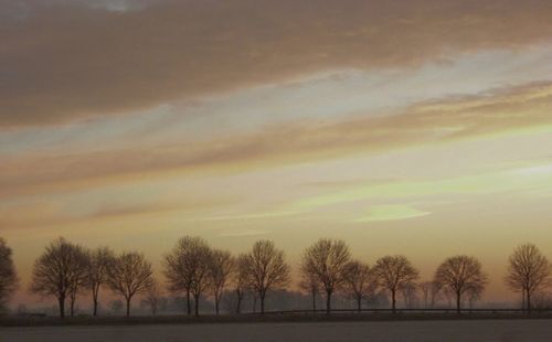 Trees on landscape against sky at sunset